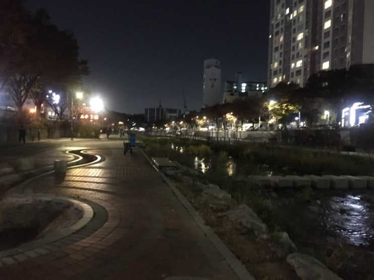  30분 달리기 능력 향상 3주차 -2
