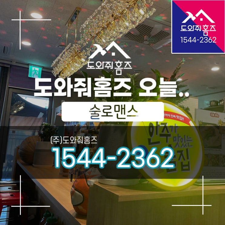  [도와줘홈즈 오늘..] 술로맨스 해장칼국수 점심