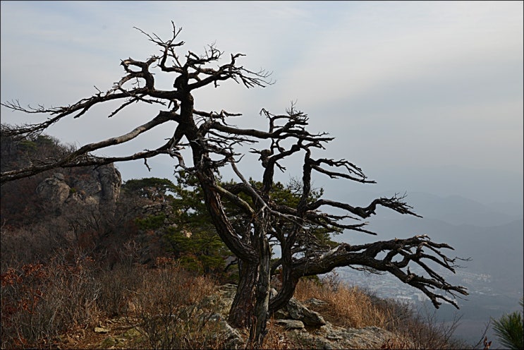  천마산 산행 (feat. 주차정보, 등산코스)
