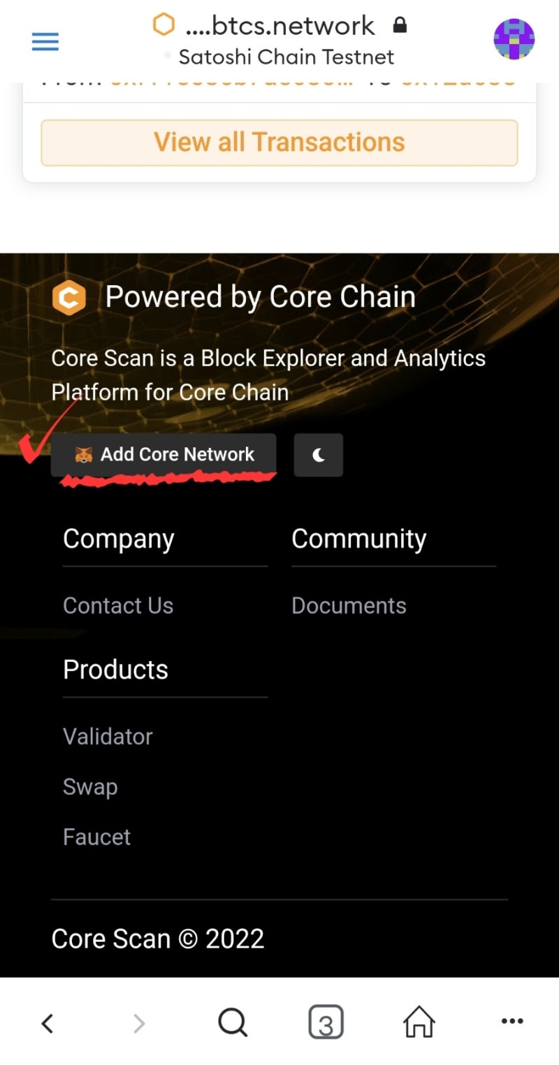 비트코인 사토시(코인)/ 사토시 테스트넷 연결과 지갑 주소 바인딩, 메타마스크 활용법 : 네이버 블로그