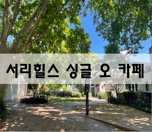  시드니 서리힐스 브런치카페거리 산책, 싱글오Single O 플랫화이트 [호주여행]