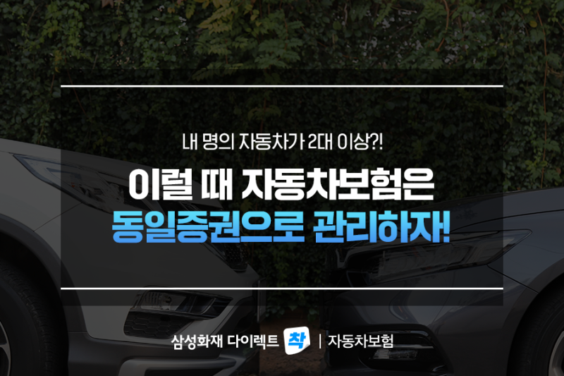 해외자동차보험은 두 대의 자동차가 자동차보험에 가입하도록 설계되어 있습니다. 8