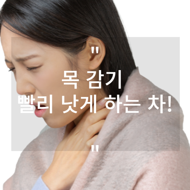  목감기 빨리 낫게 하는 차