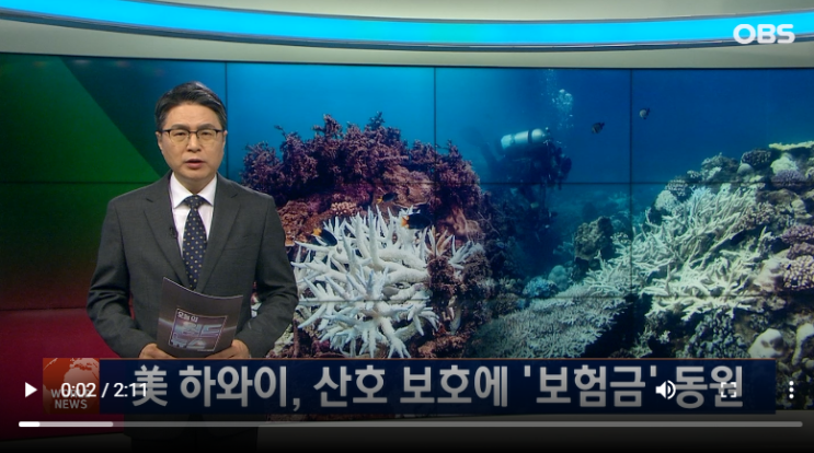 하와이, 미국 최초의 산호 보험 가입 하와이, 미국 최초의 산호 보험 가입