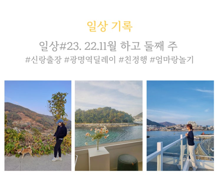  일상#23. 신랑은 출장, 나는 신나는 친정행. 피둥피둥 살쪄서 오기