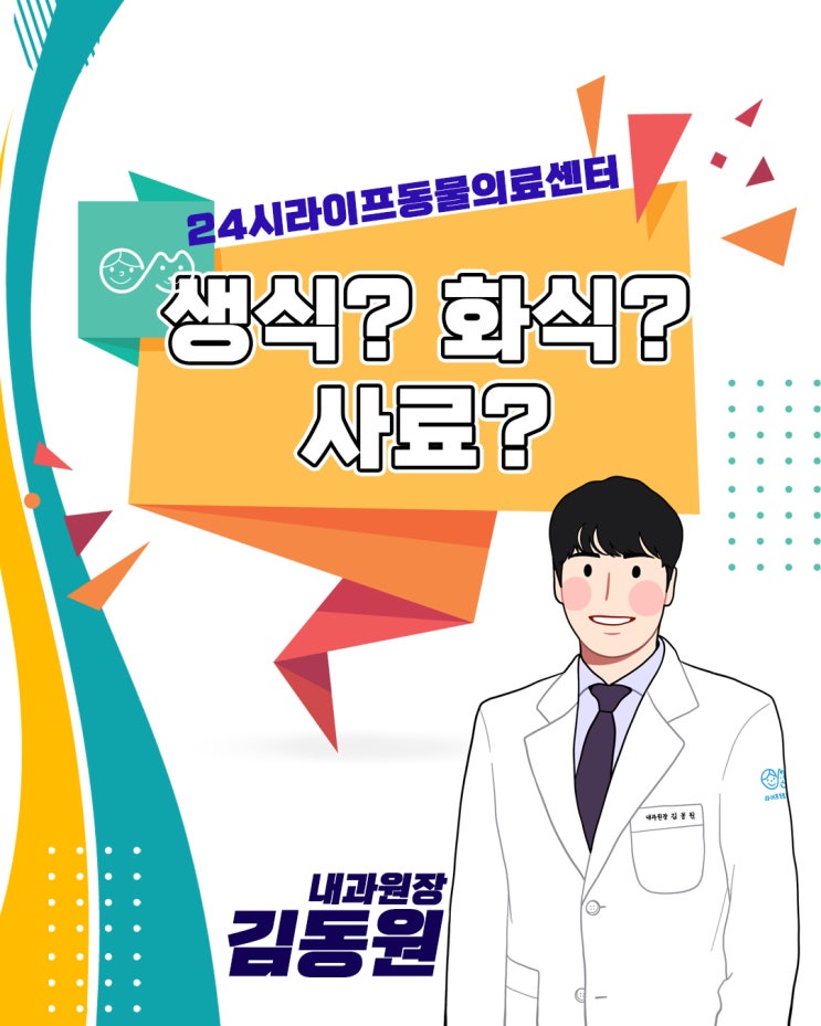 강아지 생식, 화식, 사료 어떤걸 먹여야 하나요? 궁금증 풀어보기 강아지 생식, 화식, 사료 어떤걸 먹여야 하나요? 궁금증 풀어보기