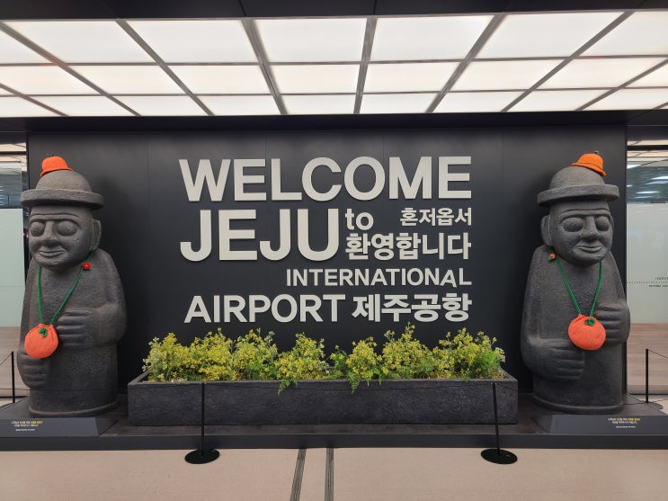  제주도 태교여행 일란성쌍둥이 임신중기 25주 가을겨울제주