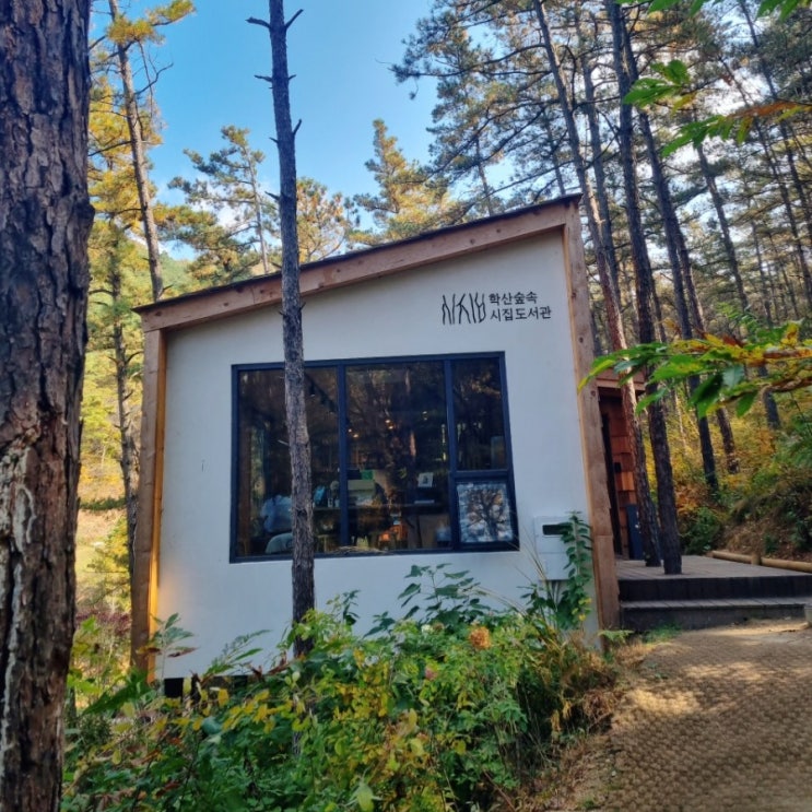 전주 평화동 숲 속에서 시를 만날 수 있는 곳 학산숲속 시집도서관
