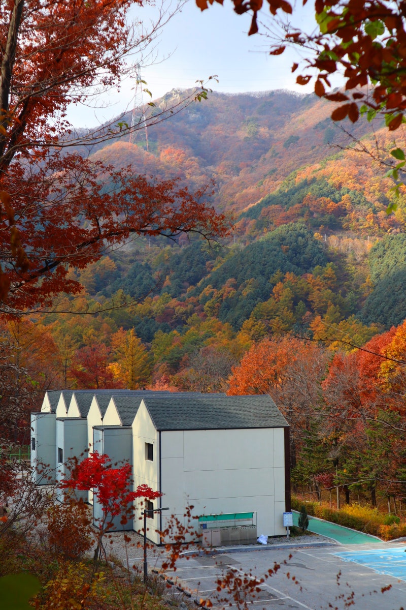 유명산 자연휴양림 단풍 / 숲속의집