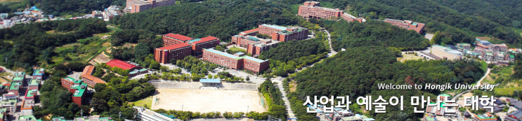 2022학년도 홍익대학교 학교정보 2022학년도 홍익대학교 학교정보
