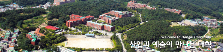 2022학년도 홍익대학교 학교정보