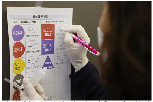 신규 위중증 1주새 16% 증가…20만명 확진 대응병상 확보_정책브리핑 신규 위중증 1주새 16% 증가…20만명 확진 대응병상 확보_정책브리핑