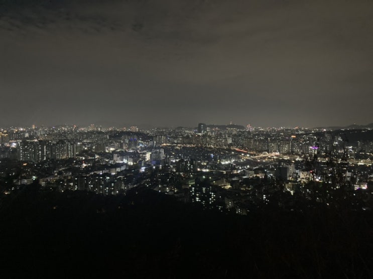  [11/18~11/25] 참치참치, 현명한 친구, 공연 관람, 걷자 걸어!, 심장 쫄리는 나날, 할일 폭탄