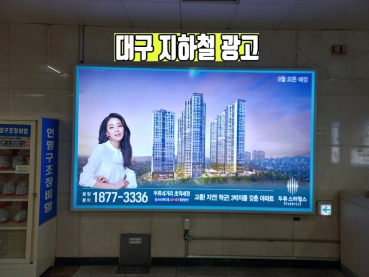  폭이 넓은 대구 지하철 광고 비용 가격 info