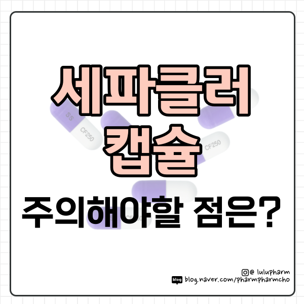 세파클러캡슐 꼭 알아둘 내용 (부작용, 주의사항, 원리 등)
