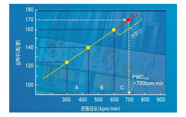 피트니스센터에서 활용하기 쉬운 운동부하검사 방법,최대하운동검사, PWC170 Test