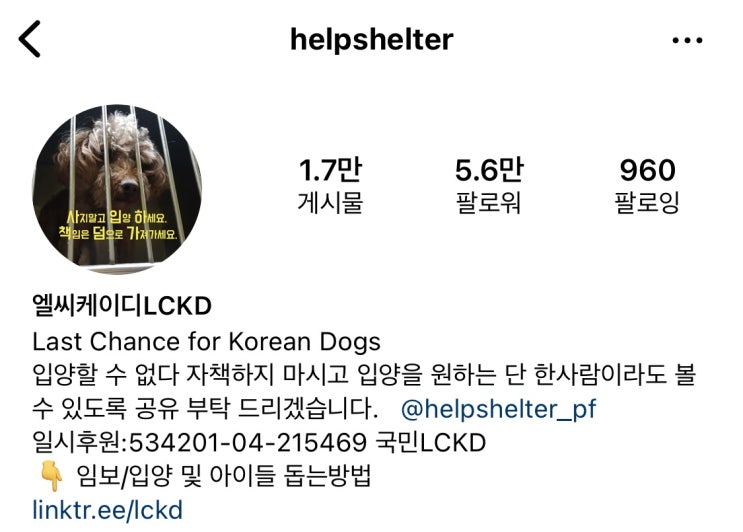  새로운 가족 호두ෆ 첫 번째 이야기(LCKD 유기견 입양 과정)