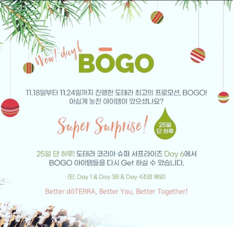  서프라이즈!!! 보고6, 오늘(25일) 마지막 하루!!