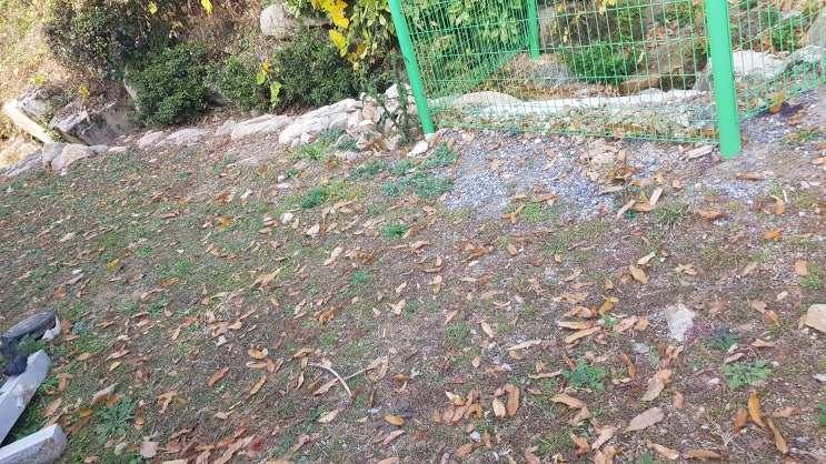  지역주택조합 아파트 사업이 진행되서 성공할 확률