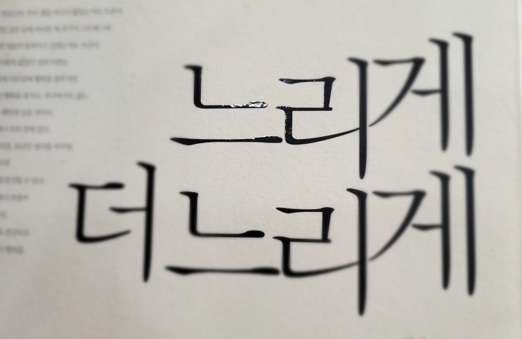  책 느리게 더 느리게 장샤오형
