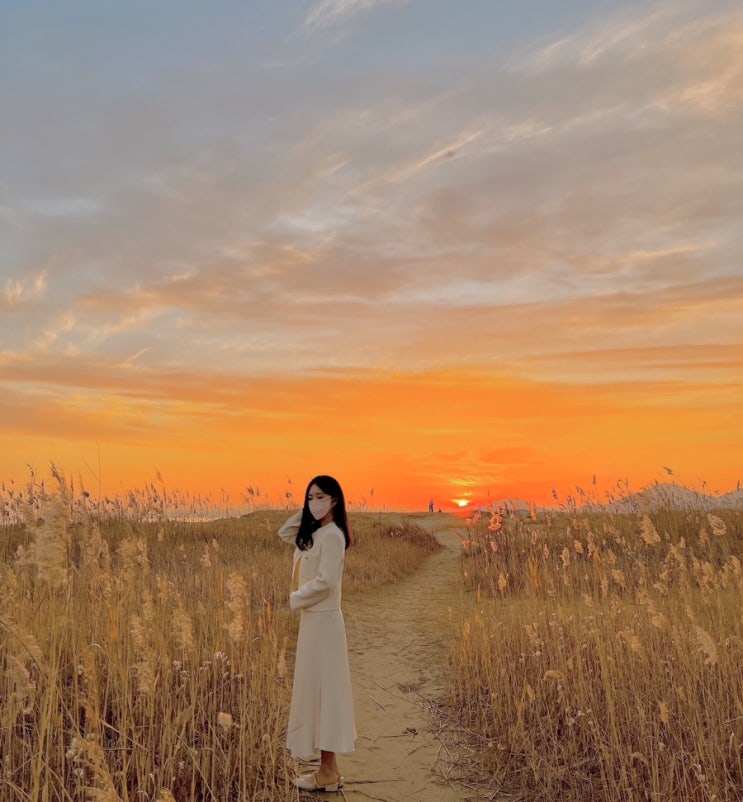 부산 다대포 갈대밭 일몰시간 해수욕장 부산 다대포 갈대밭 일몰시간 해수욕장