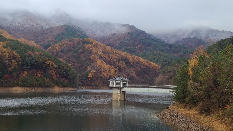  백한번째촛불 명상센터의 아름다움