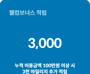  대한항공카드로 항공권 구매하고 받은 혜택 및 할인