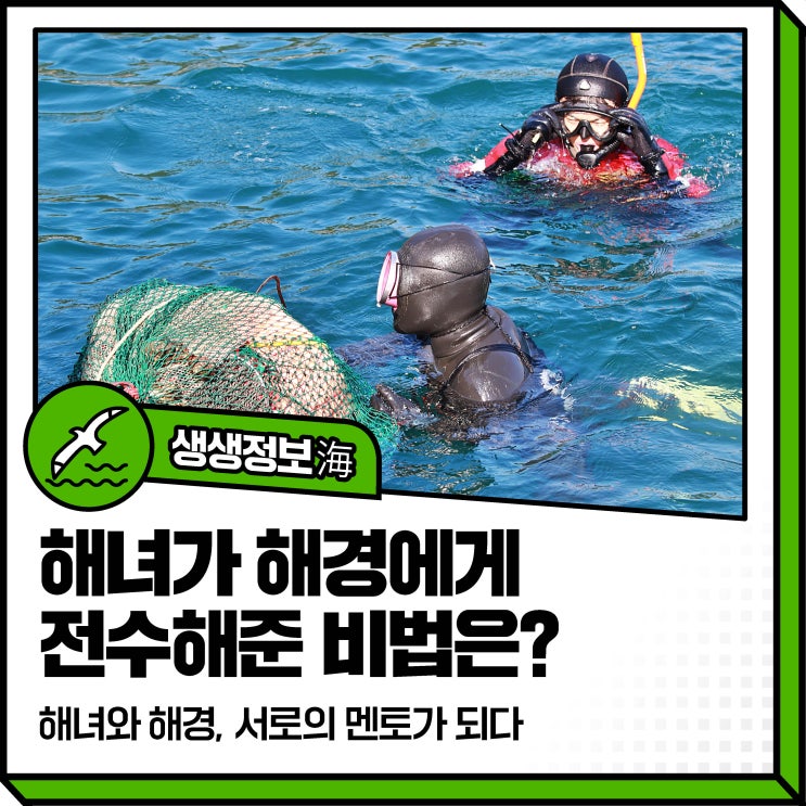 베테랑 통영 <b>해녀</b>, 해경에게 바다와 친해지는 비법 전수하다