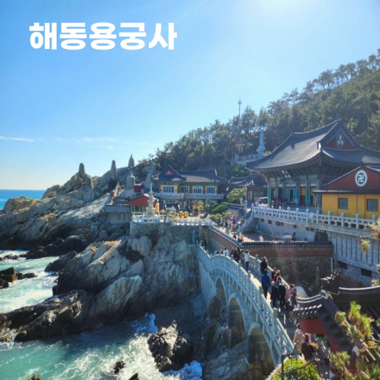  해동용궁사 주차, 관람시간, 입장료 정보 한 번에 둘러보기