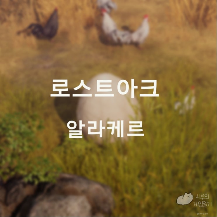  로스트아크 로아 알라케르 섬의 마음 ＆ 모코코