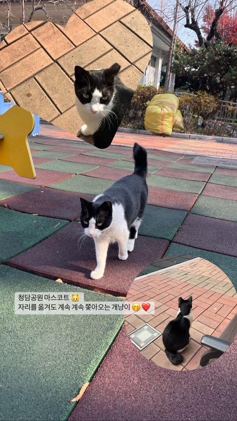  11월 세 번째 주간일기