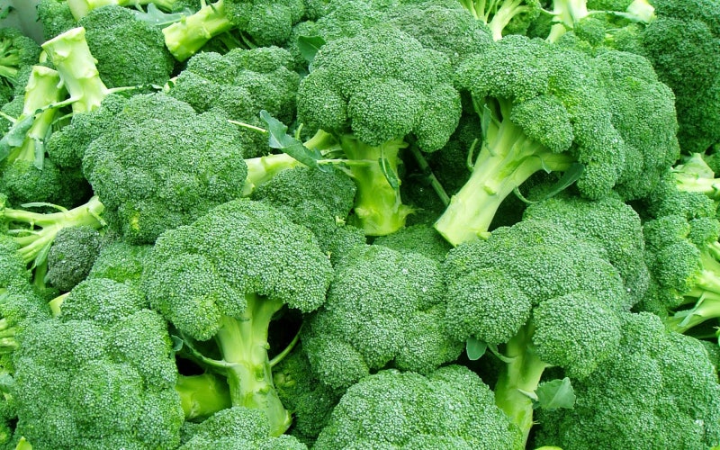 채식주의, Flexitarian, 비건, 사찰음식, 초록주의자, 잔치국수, 먹는다는 것의 의미