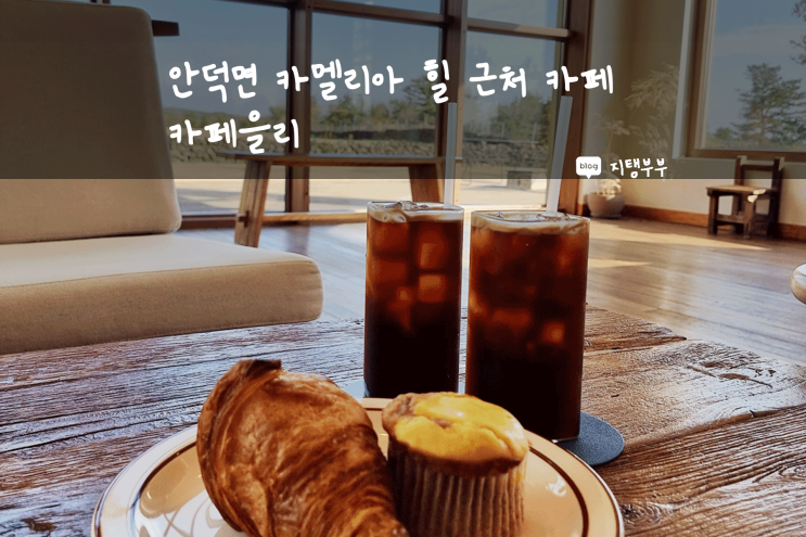  제주도 서쪽 | 안덕면 카멜리아 힐 근처 카페 추천 카페을리