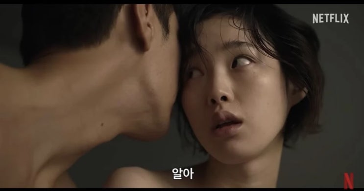  넷플릭스 드라마 : 썸바디 (해석/정보), 결말 의미와 수위/주제
