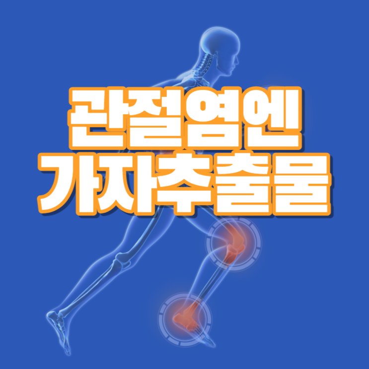 가자추출물 효능 가자나무 열매 관절연골엔 가자추출물로 해결하세요 가자추출물 효능 가자나무 열매 관절연골엔 가자추출물로 해결하세요