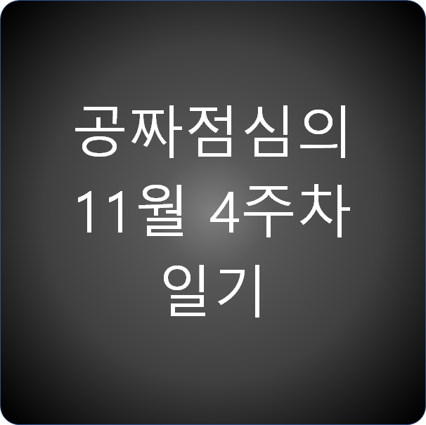 공짜점심의 11월 4주차 일기