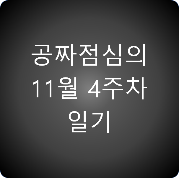  공짜점심의 11월 4주차 일기