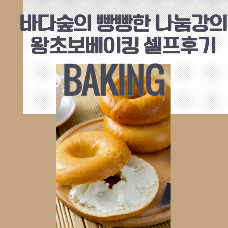  셀프 강의 후기 바다숲의 빵빵한 나눔 강의 왕초보 베이킹