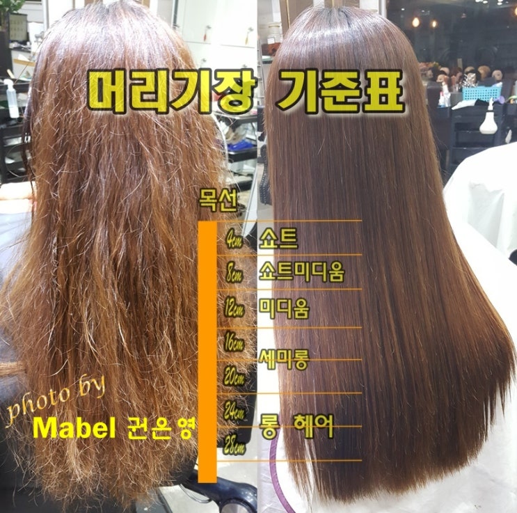  쇼트/미디움헤어/세미롱헤어 기장 추가 (머리길이 기준표)