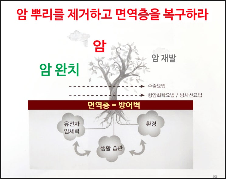  암 치료 재발 없이 완치하려면 암 뿌리를 제거하고 면역층을 복구해야