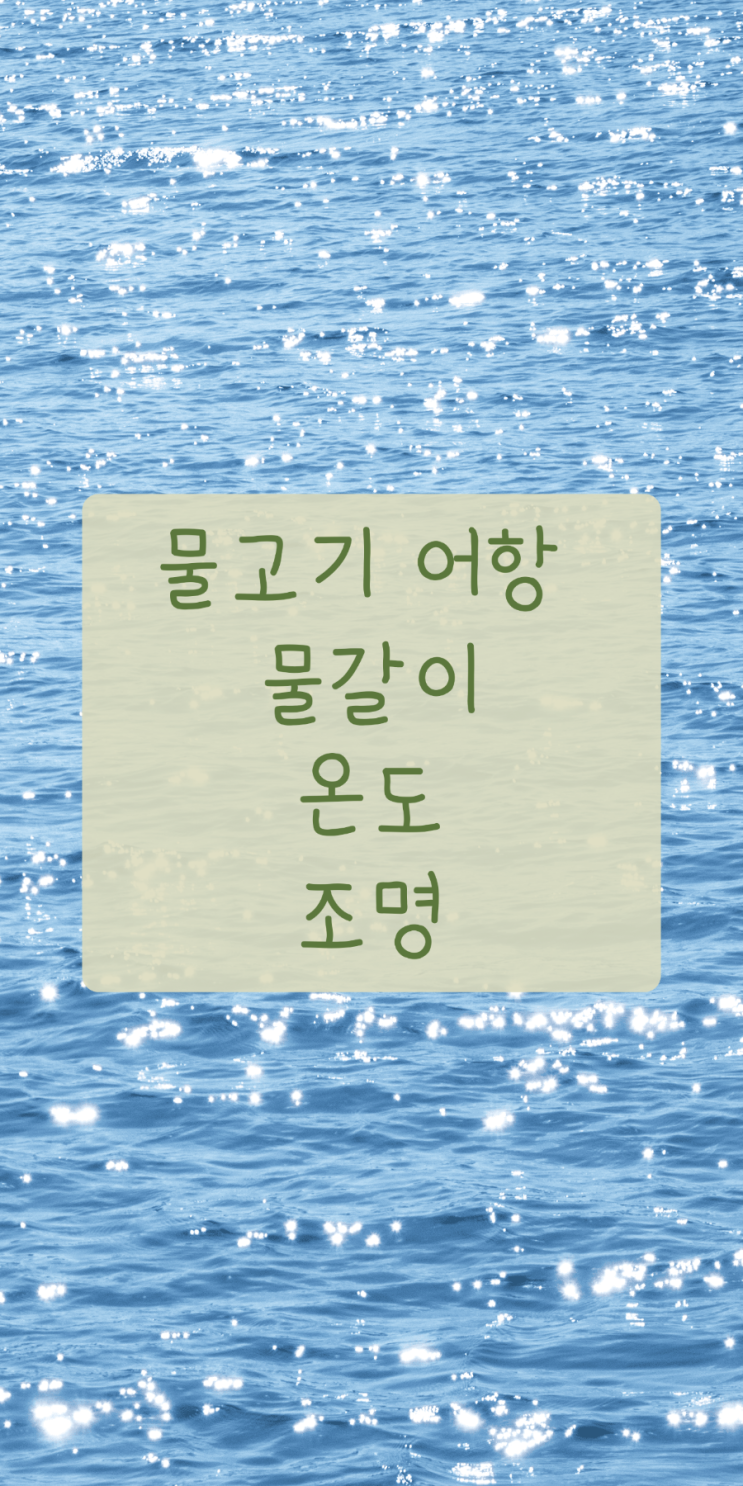  구피 물고기 어항 물갈이 여과기 온도 조명
