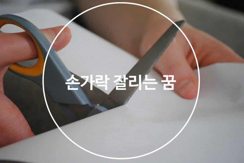 손가락 잘리는 꿈 /손가락 꿈