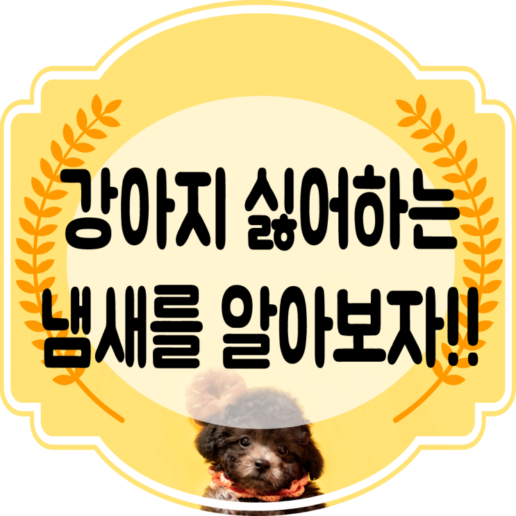  강아지가 싫어하는 냄새!! 이것만은 꼭 알아두자!!