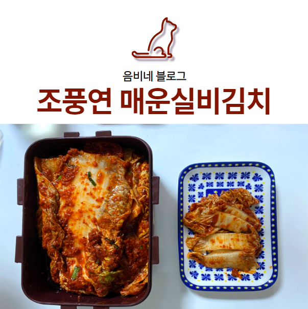 조풍연 실비김치 , 매운김치 좋아한다면 왕강추