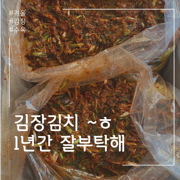  겨울, 김장 그리고 수육