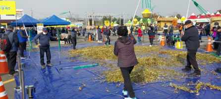  파주 장단콩축제 임진각 개막, 축제일정/공연/초대가수 기본정보