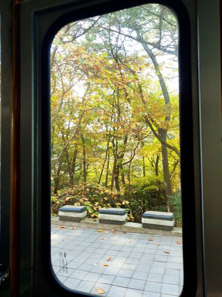  부산 영도구 하루 동안 신나게 즐기기 : 태종대, 흰 여울 문화마을