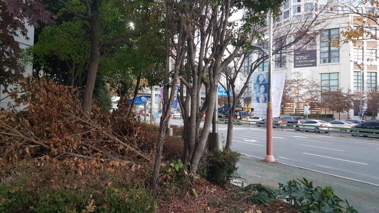  직주근접 아파트 인기가 왜 좋을까?