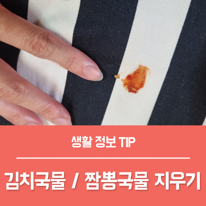 김치국물 지우는법 , 짬뽕국물 지우기 6가지 TIP