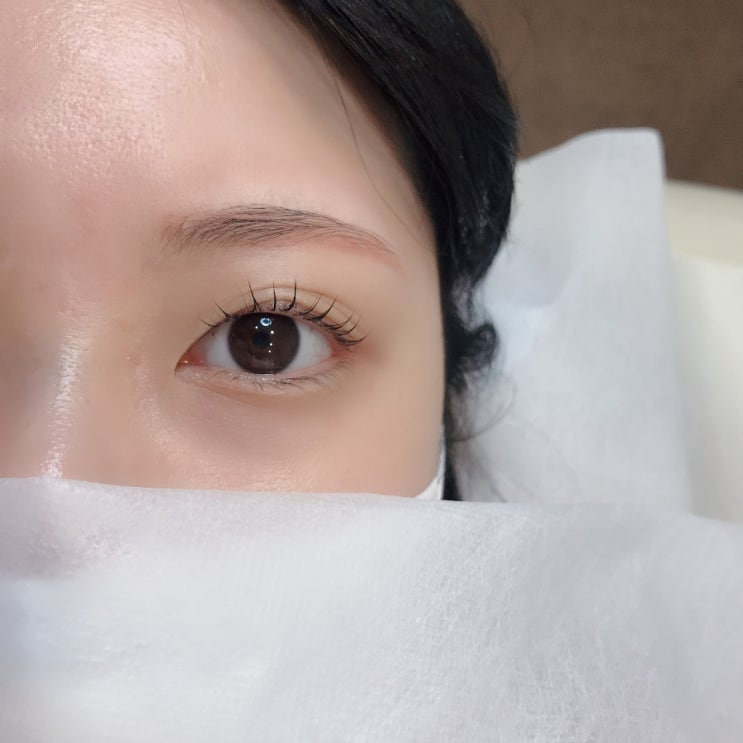  성북구 속눈썹, 길음역 속눈썹펌 | 브로우달